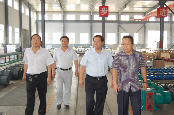 中國電機(jī)協(xié)會(huì)秘書長視察