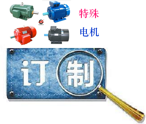 永磁電機(jī)、特殊電機(jī)定制