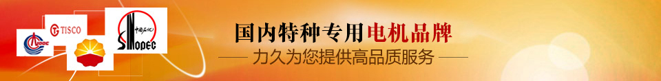 力久——特種專(zhuān)用電機(jī)品牌！